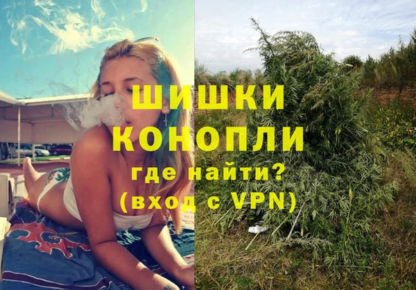 спайс Алексин