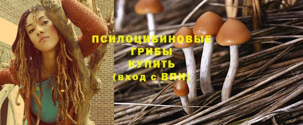 ешки Алексеевка
