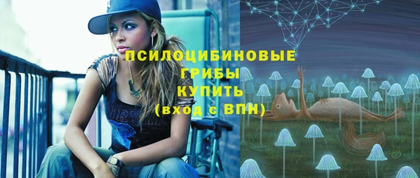 ешки Алексеевка