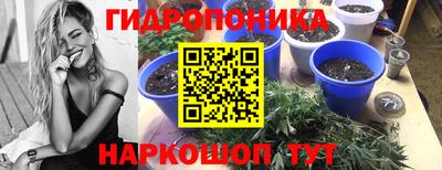 каннабис Обь