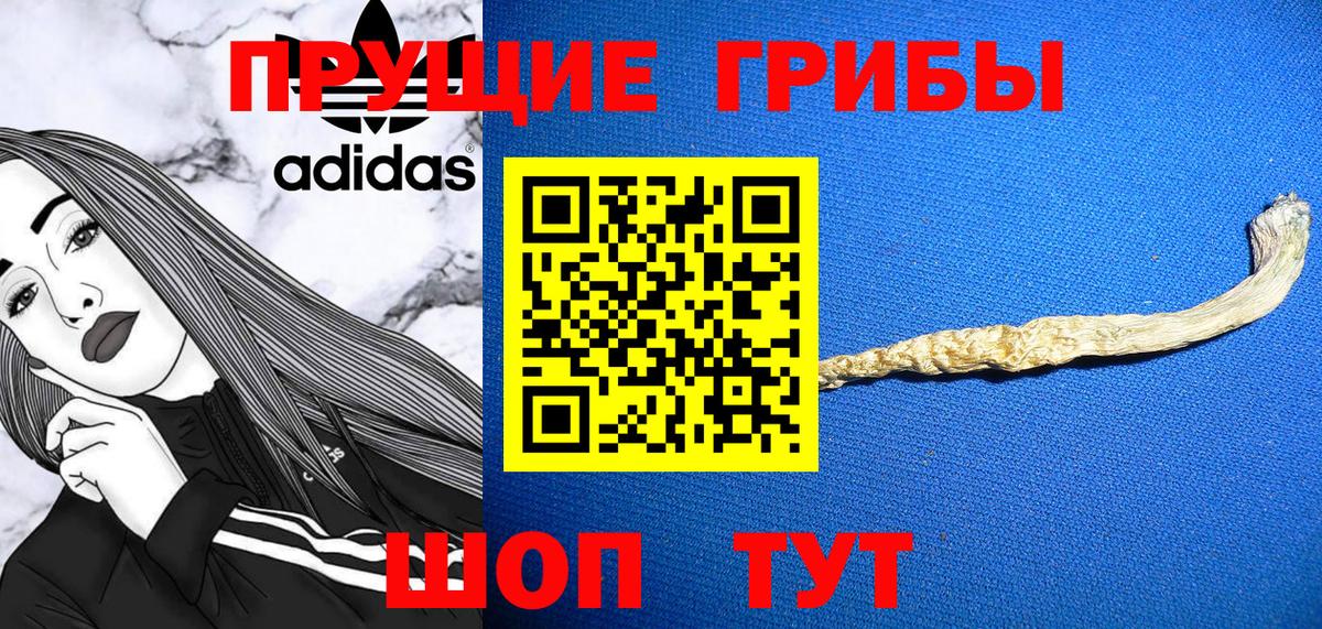 Шадринск  Псилоцибиновые грибы Magic Shrooms  Вход с VPN 